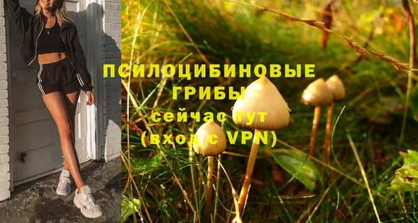 ECSTASY Лагань