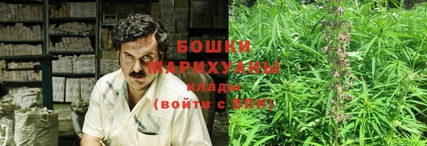 ECSTASY Лагань