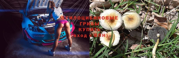 ПСИЛОЦИБИНОВЫЕ ГРИБЫ Ладушкин