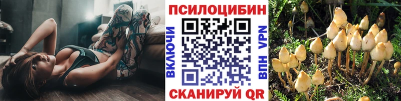 Купить  Плёс  Галлюциногенные грибы мицелий 