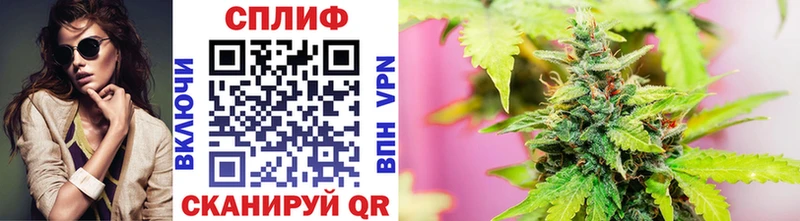 Конопля SATIVA & INDICA  Купить  Плёс 